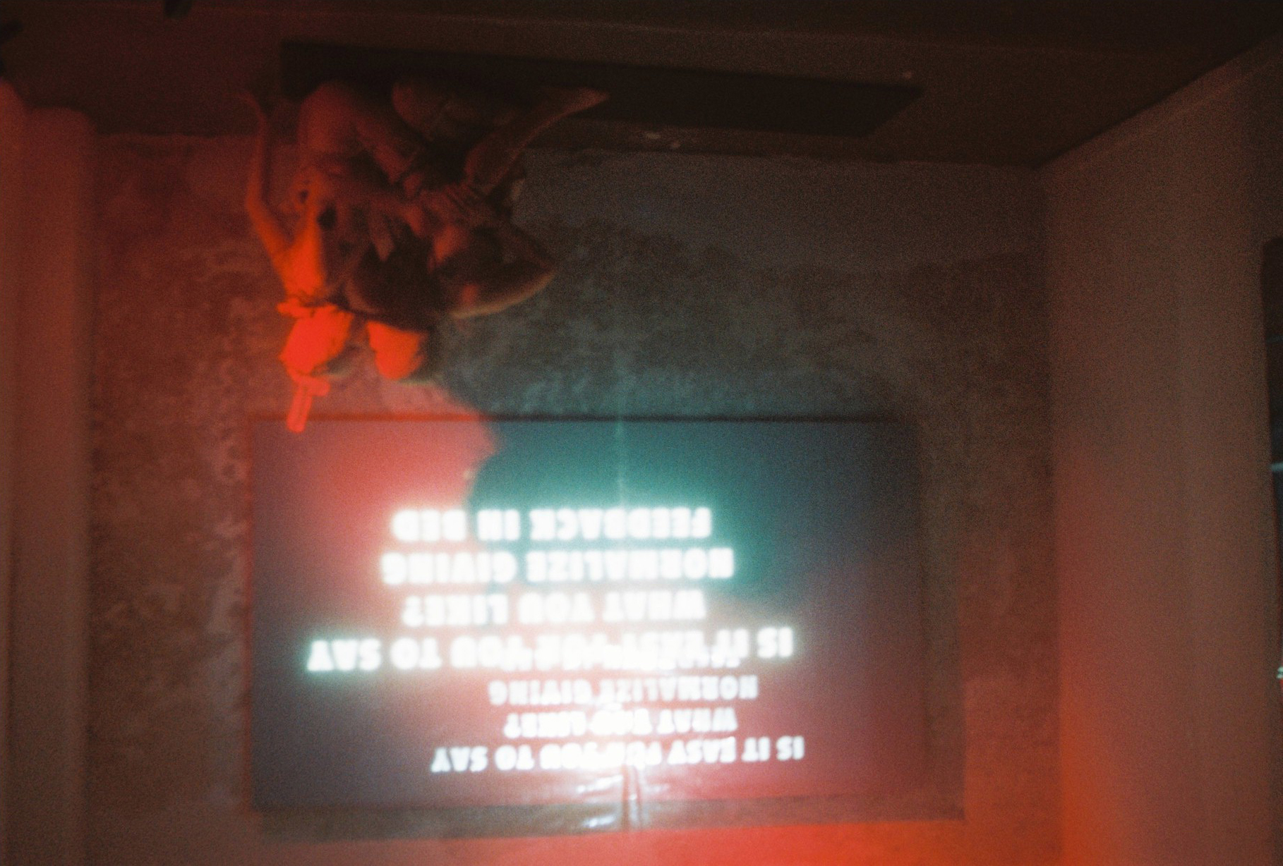 Emiliana Rat Exhibition